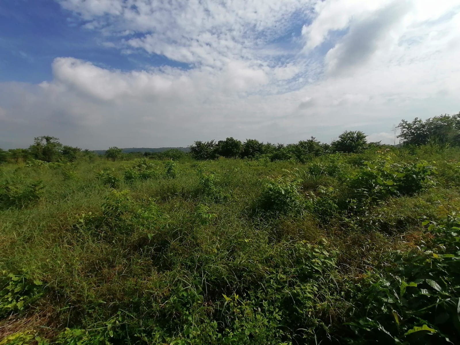 LOTE EN VENTA TURBANA  - BOLIVAR