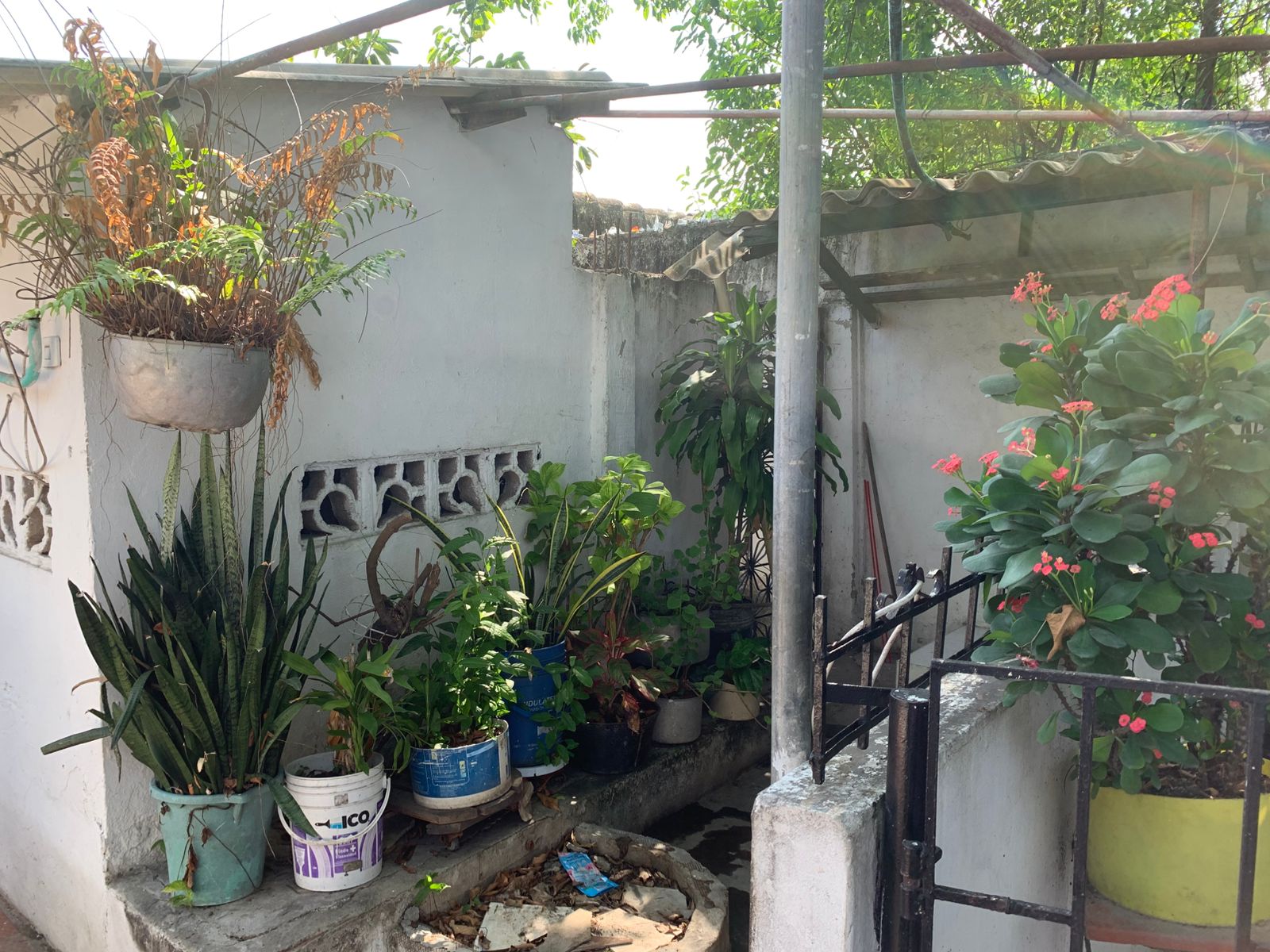 CASA EN VENTA EL BOSQUE - CARTAGENA