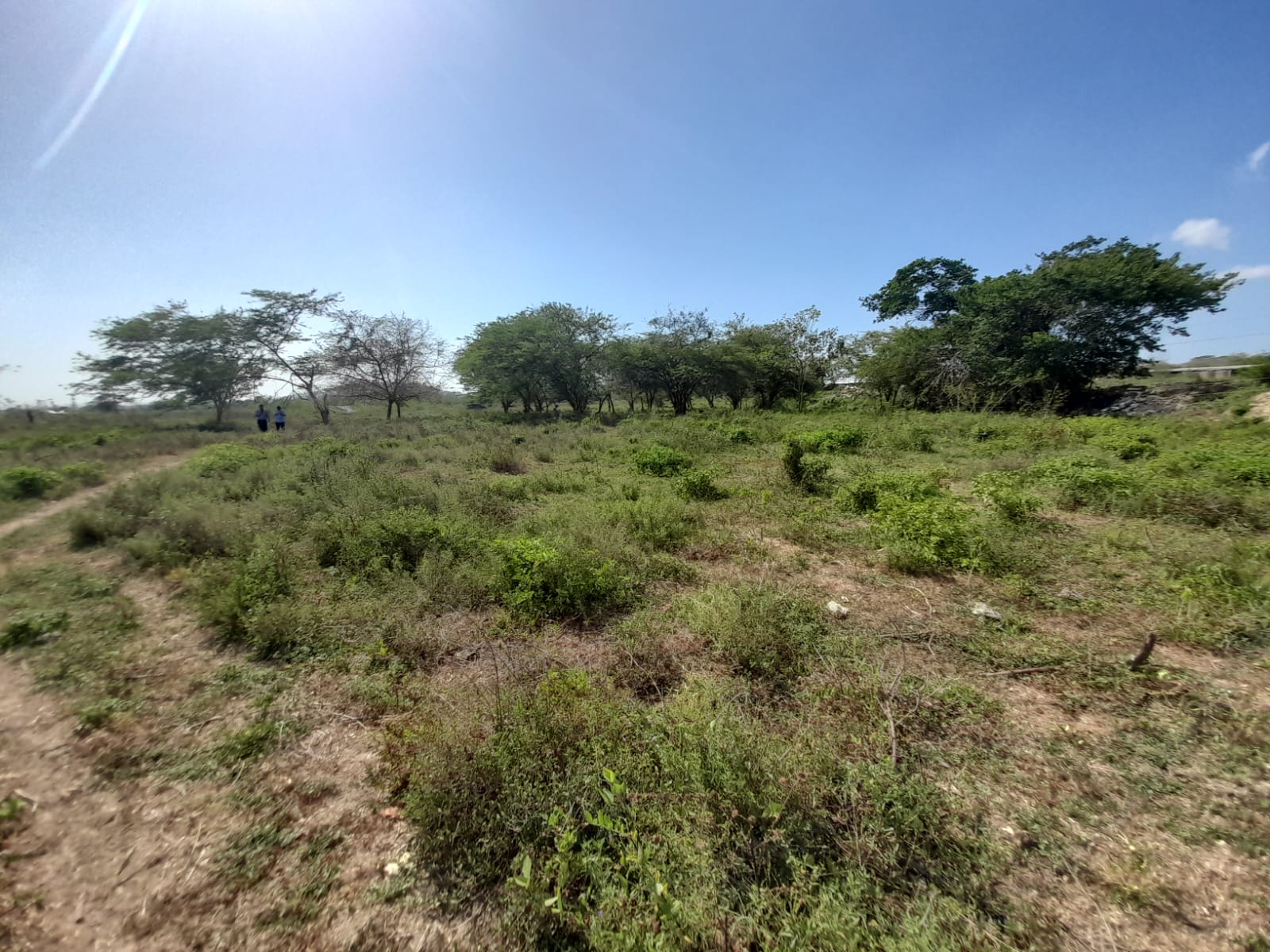 LOTE EN VENTA VARIANTE VÌA MAMONAL - CARTAGENA