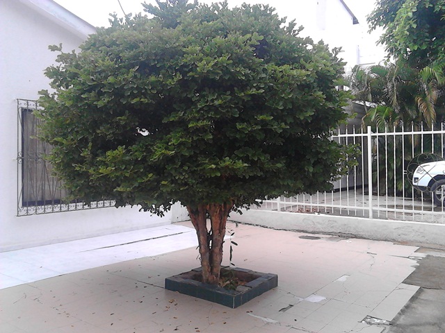 Cartagena Venta de Casa Alto Bosque