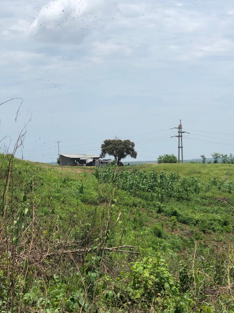 Cartagena Venta Lote Mamonal