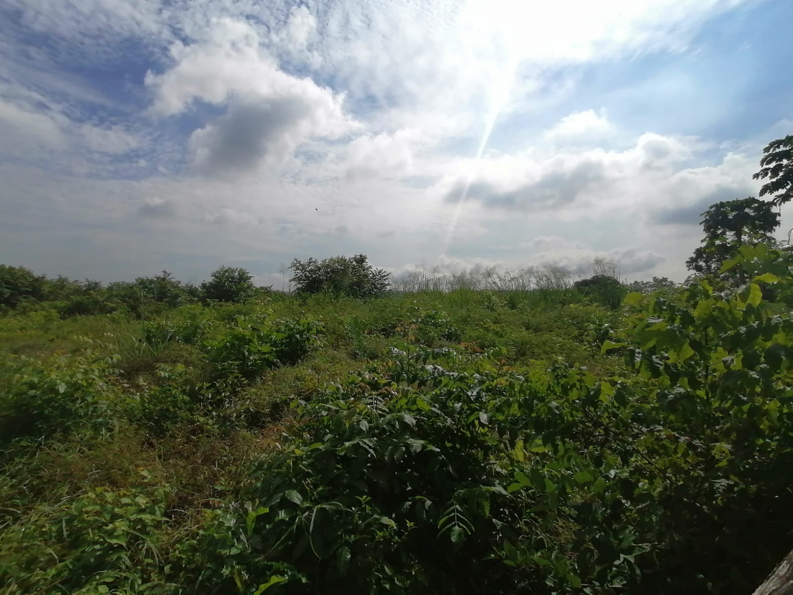 LOTE EN VENTA TURBANA  - BOLIVAR