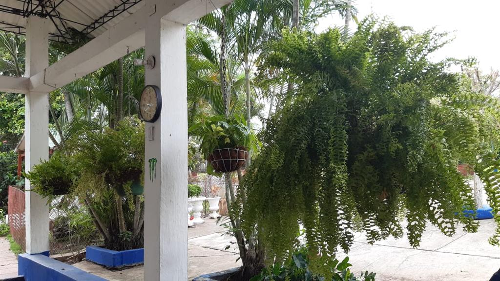 FINCA EN VENTA - ARJONA  BOLIVAR