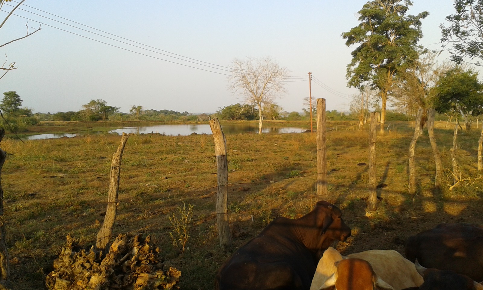 FINCA EN ARRIENDO MAHATES - CARTAGENA