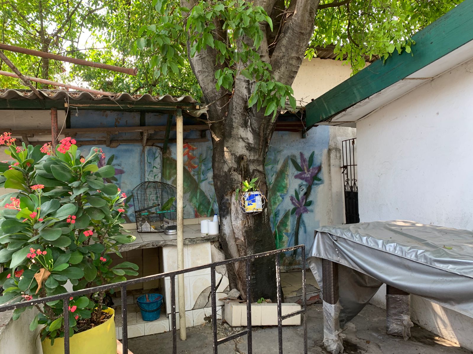 CASA EN VENTA EL BOSQUE - CARTAGENA