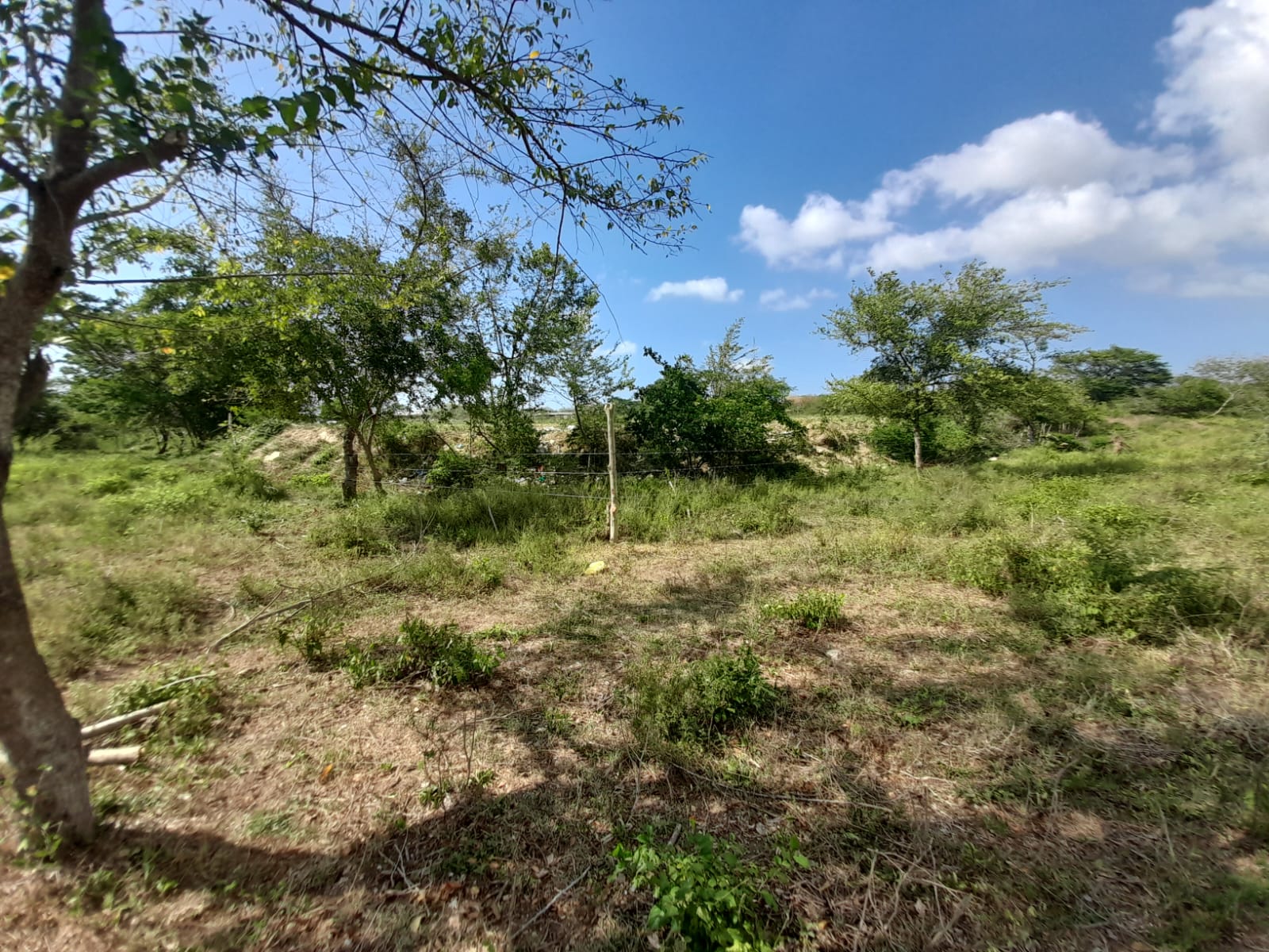 LOTE EN VENTA VARIANTE VÌA MAMONAL - CARTAGENA