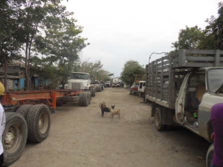 Cartagena Venta de Lote Bosque