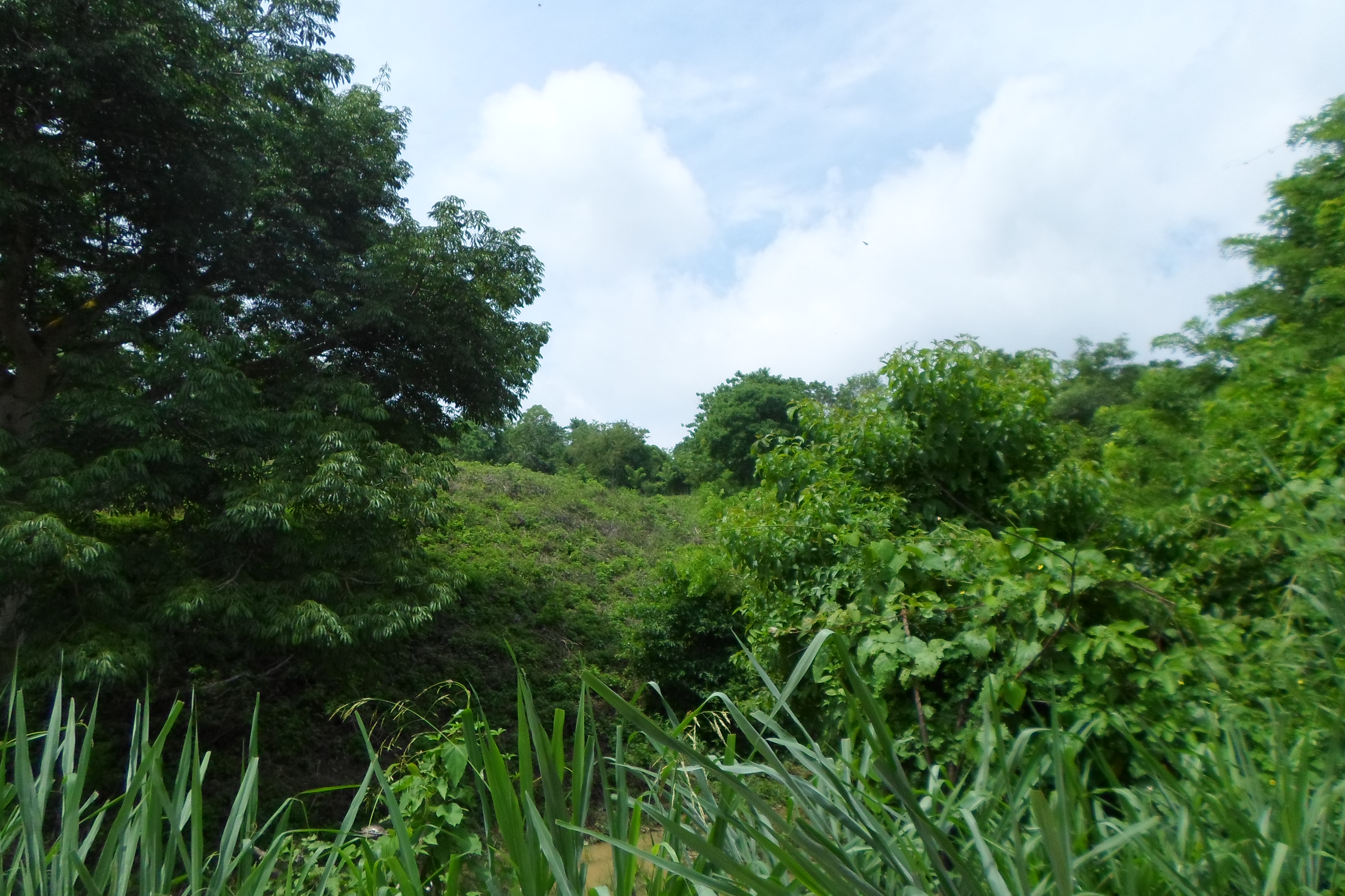 LOTE EN VENTA, TURBACO - CARTAGENA