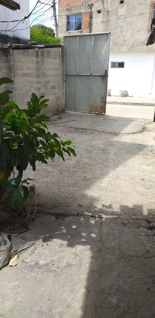 Turbana Venta Casalote Turbana