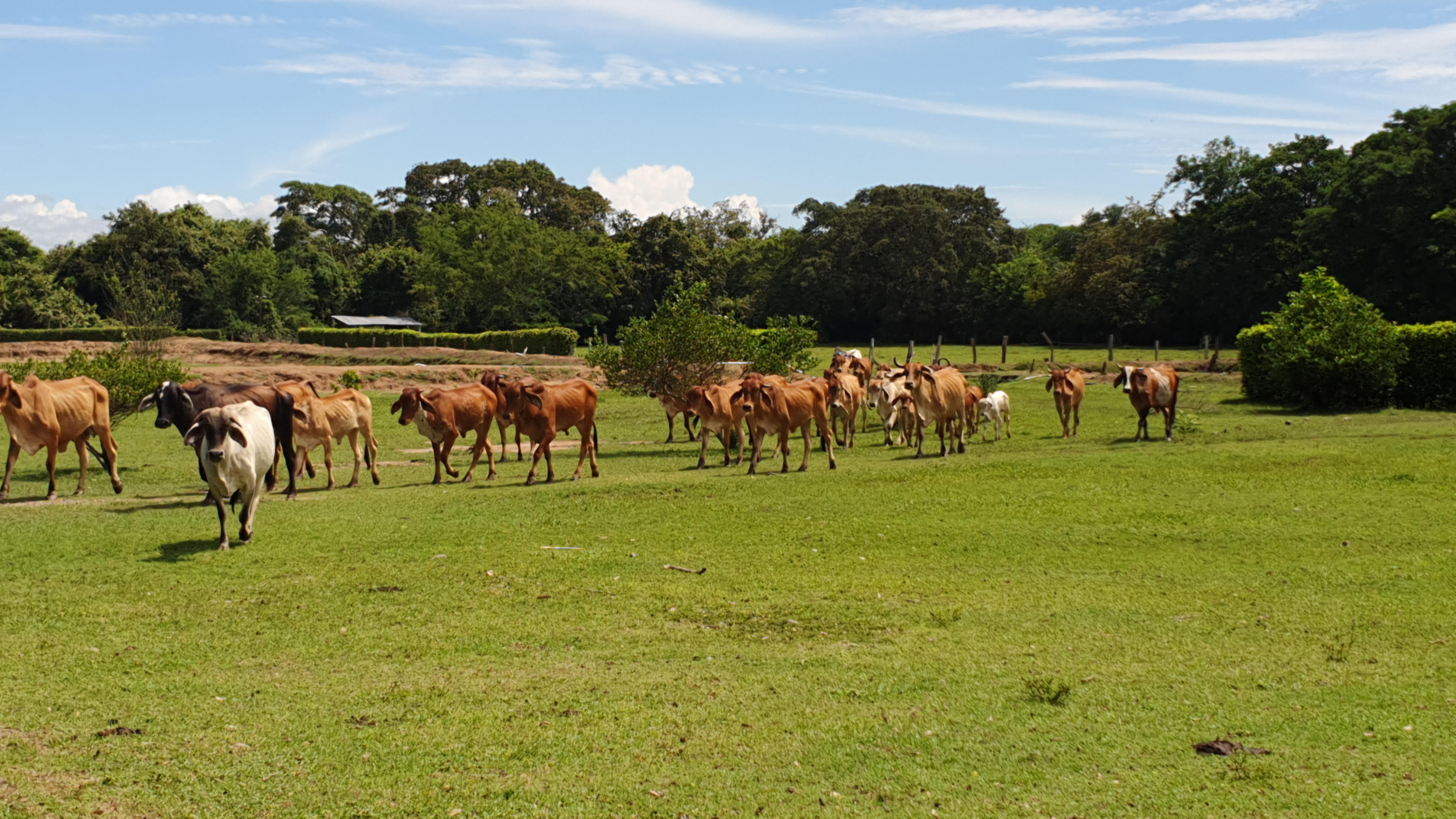 Cartagena Venta de Finca Purificación