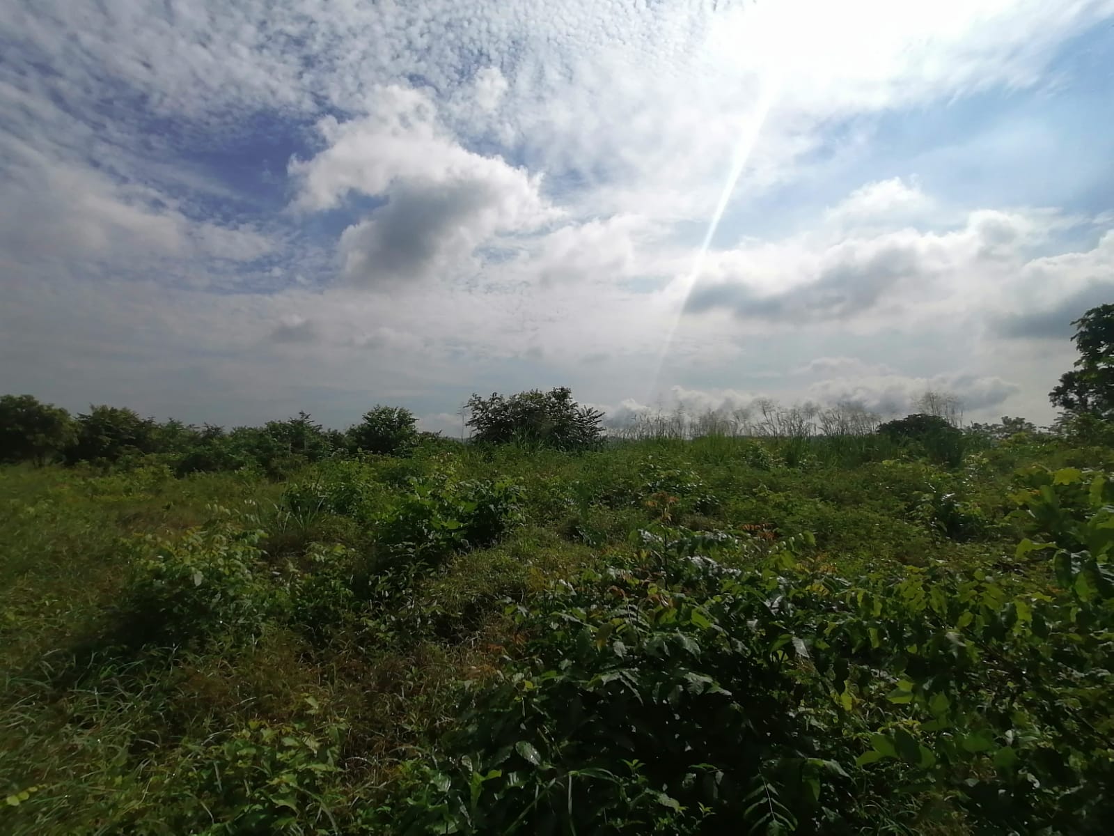 LOTE EN VENTA TURBANA  - BOLIVAR