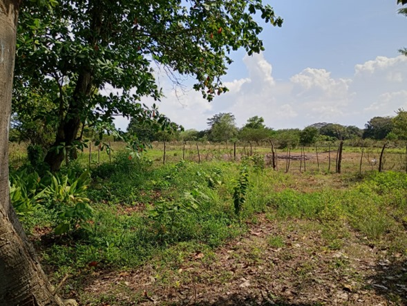 LOTE EN VENTA, ARJONA - CARTAGENA