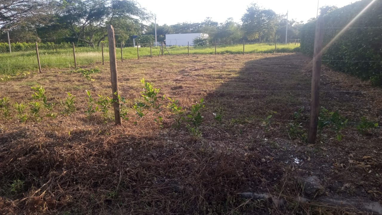 LOTE EN VENTA ARJONA - CARTAGENA