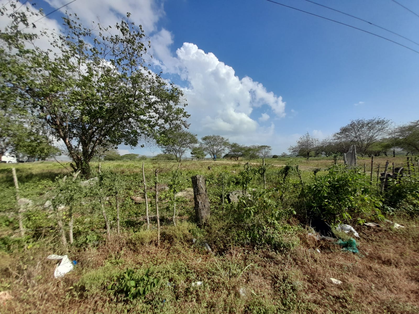 LOTE EN VENTA VARIANTE VÌA MAMONAL - CARTAGENA