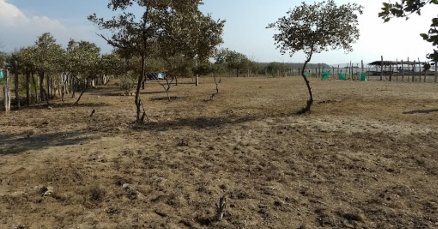VENTA DE LOTE EN LOMITA ARENA - CARTAGENA