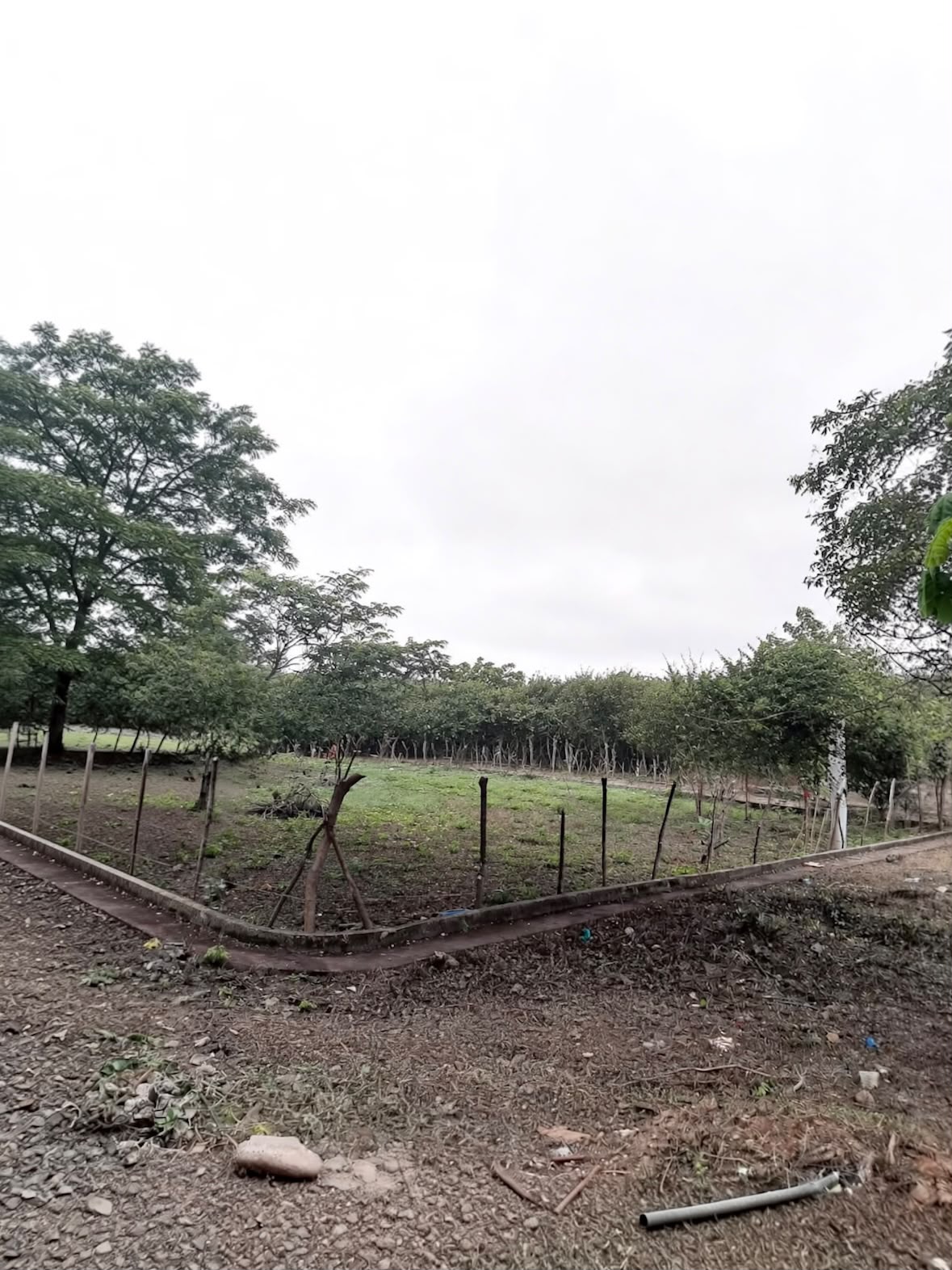 LOTE EN VENTA TURBACO-CARTAGENA