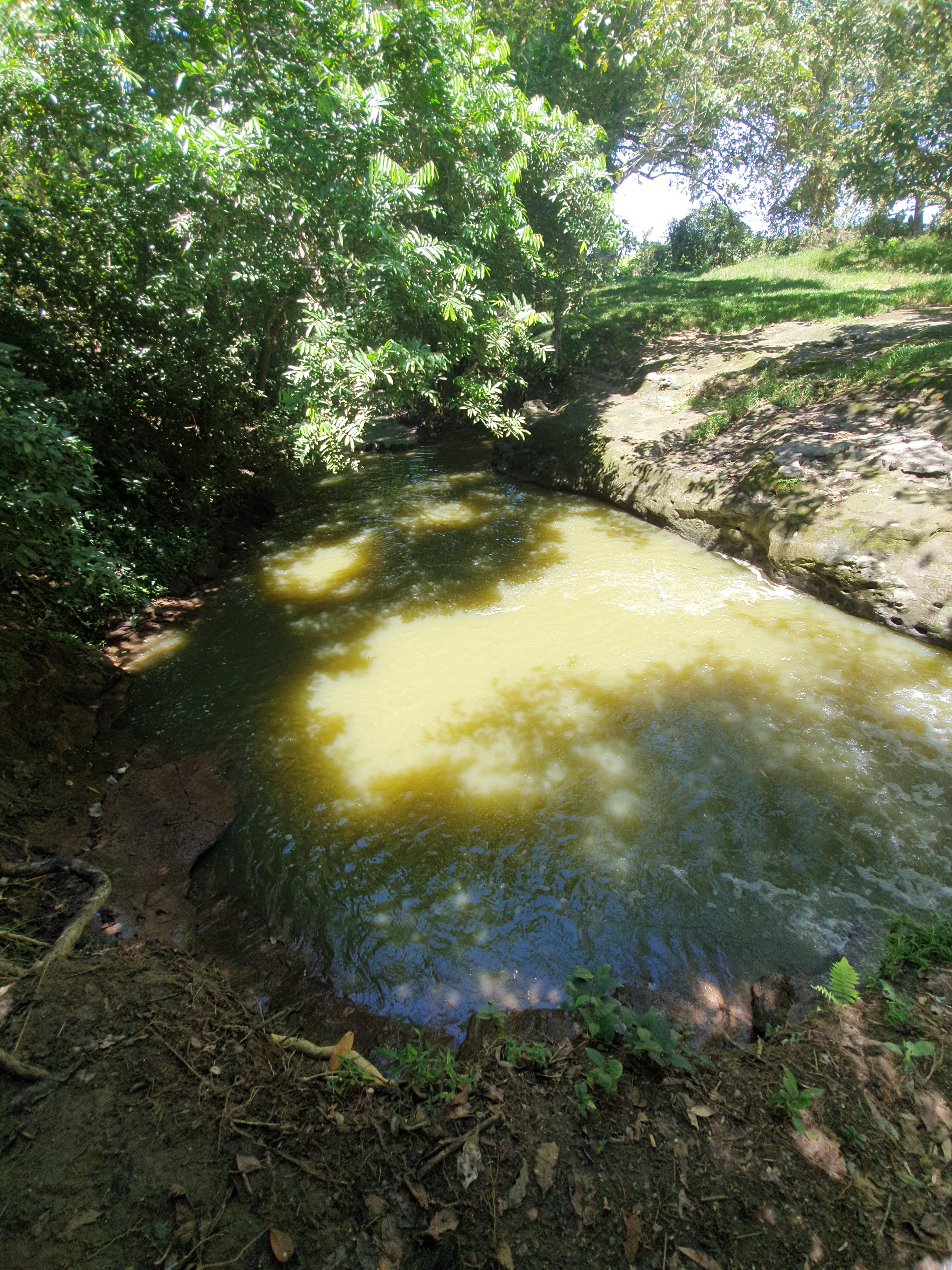 Cartagena Venta de Finca Purificación