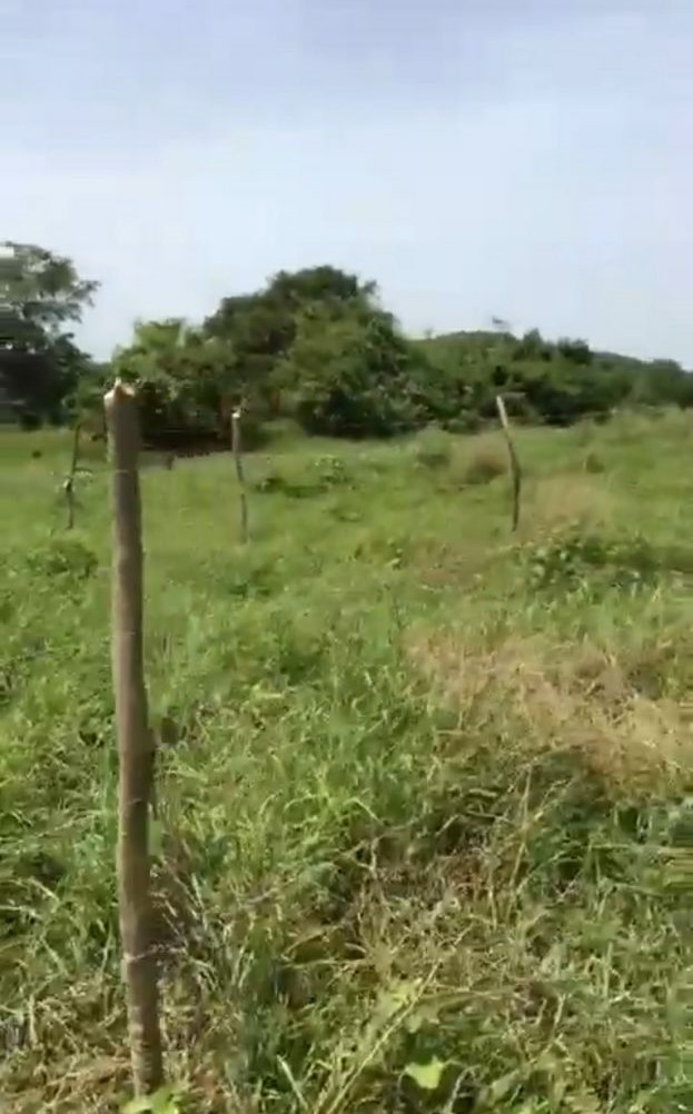 LOTE EN PARQUE INDUSTRIAL BAYUNCA VENPERMUTO - CARTAGENA