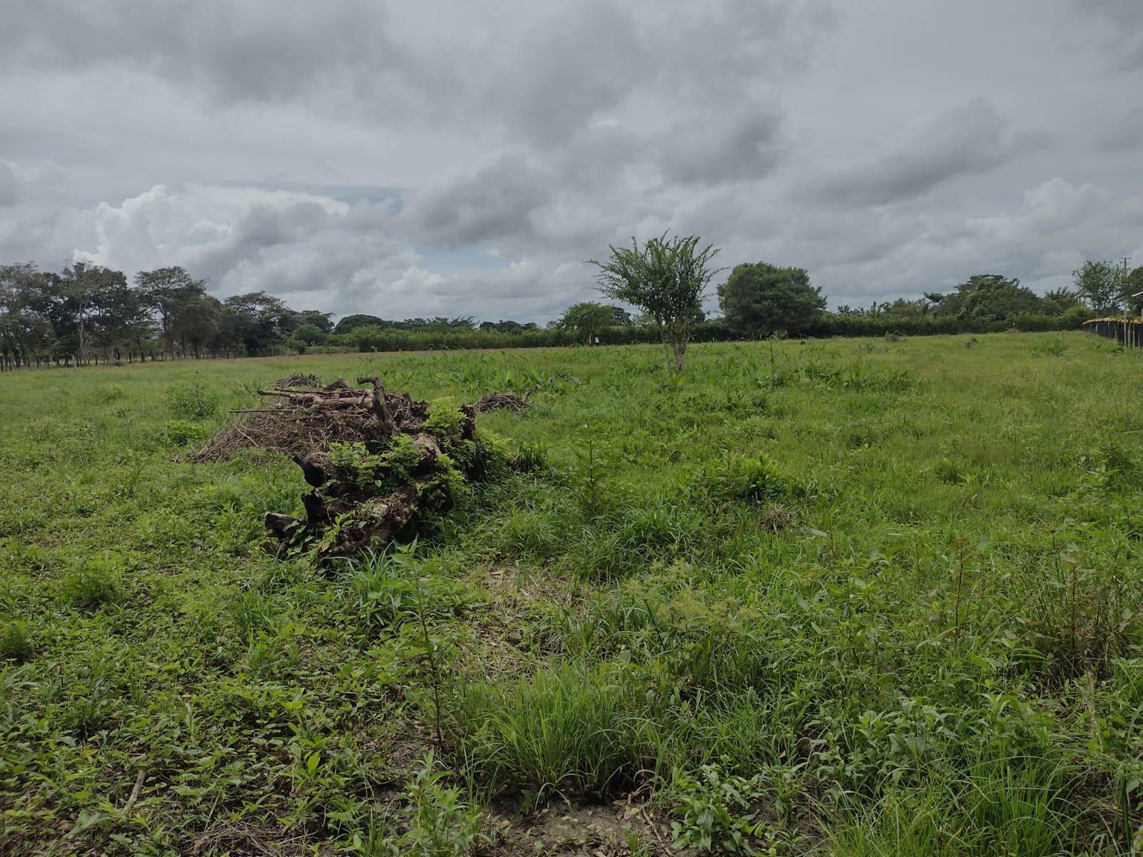 LOTE EN VENTA,   ARJONA - BOLIVAR