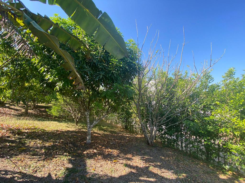 FINCA EN VENTA TURBACO - CARTAGENA