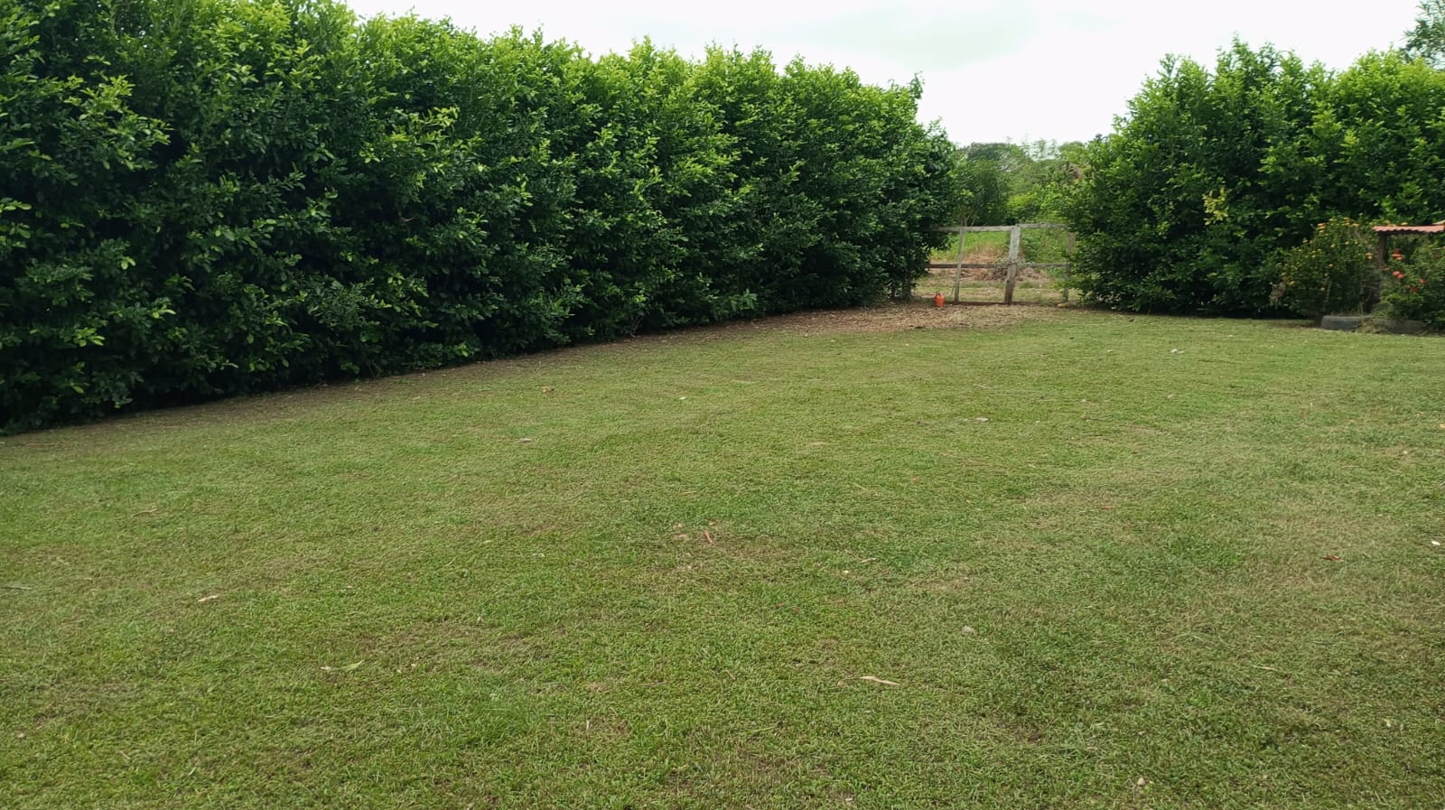 LOTE EN VENTA SANTA ROSA - CARTAGENA