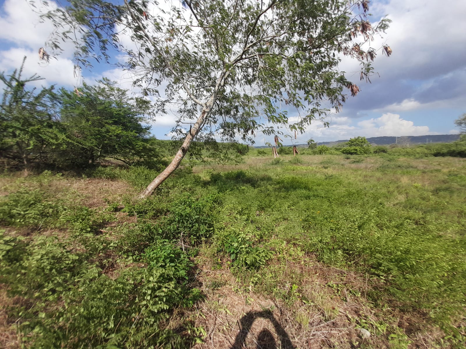 LOTE EN VENTA VARIANTE VÌA MAMONAL - CARTAGENA