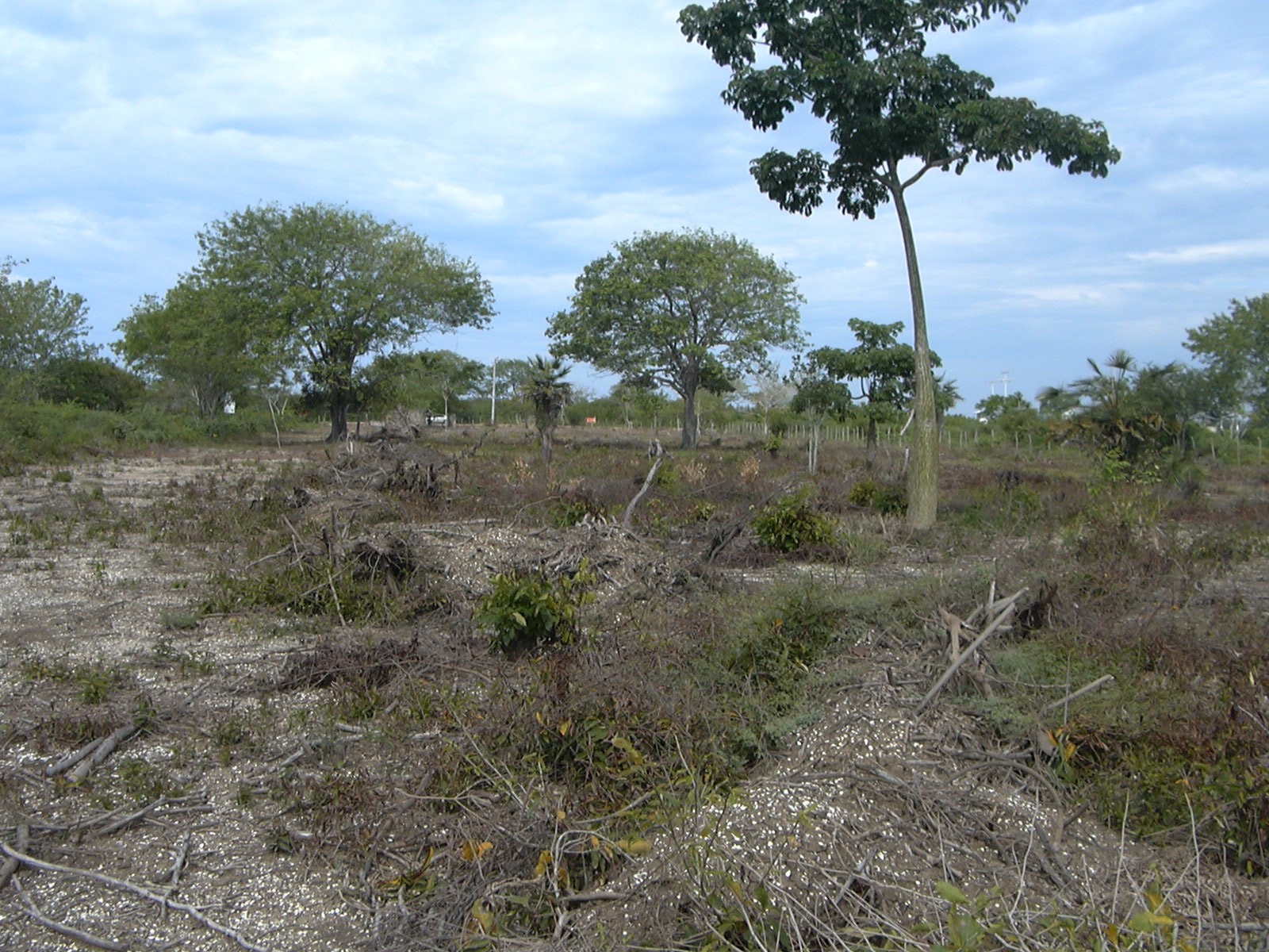Cartagena Venta de Lote Manzanillo del Mar