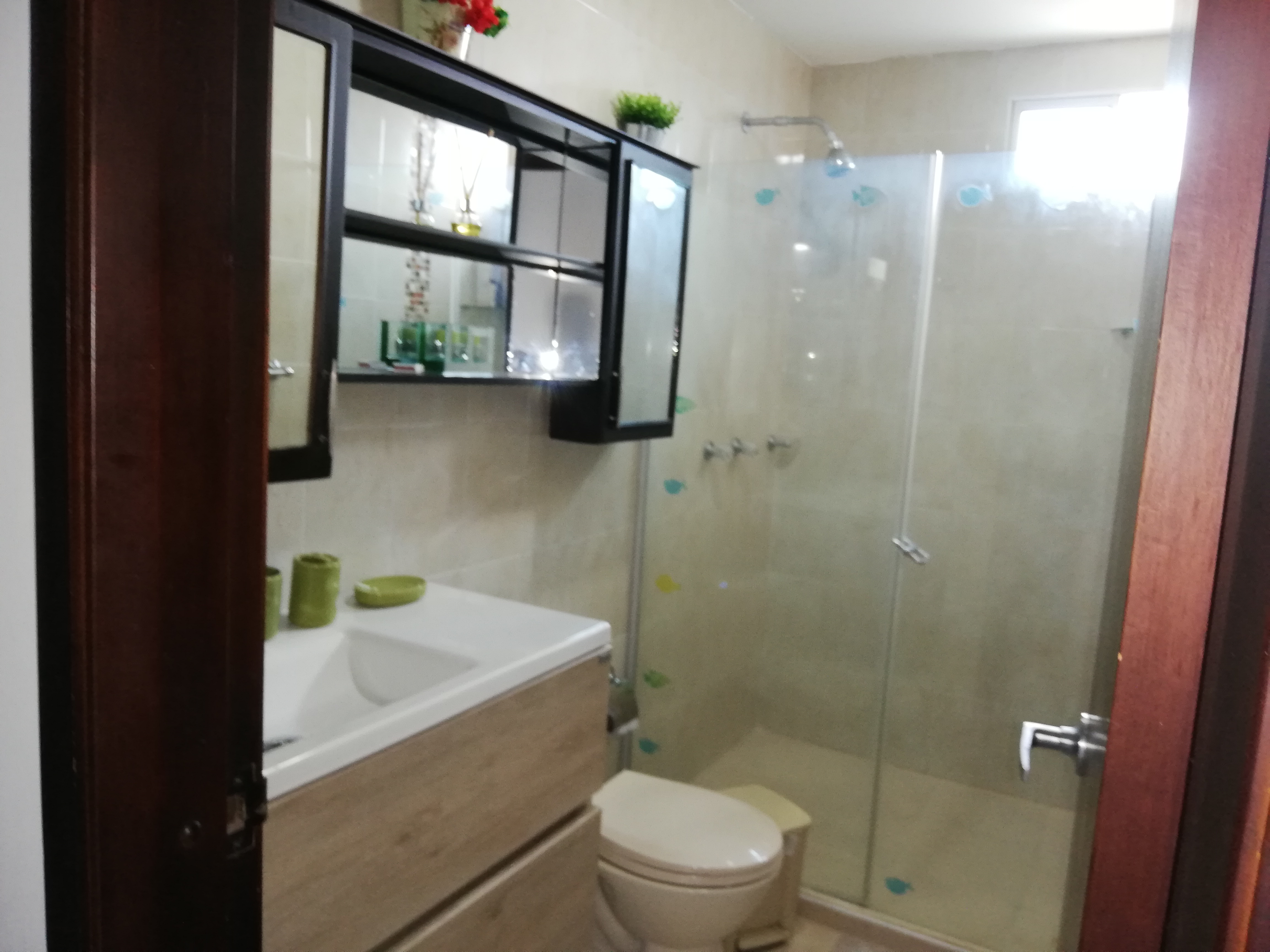 Cartagena Venta Apartamento Manga