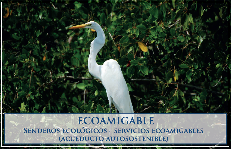 Cartagena Venta de Lote Baru