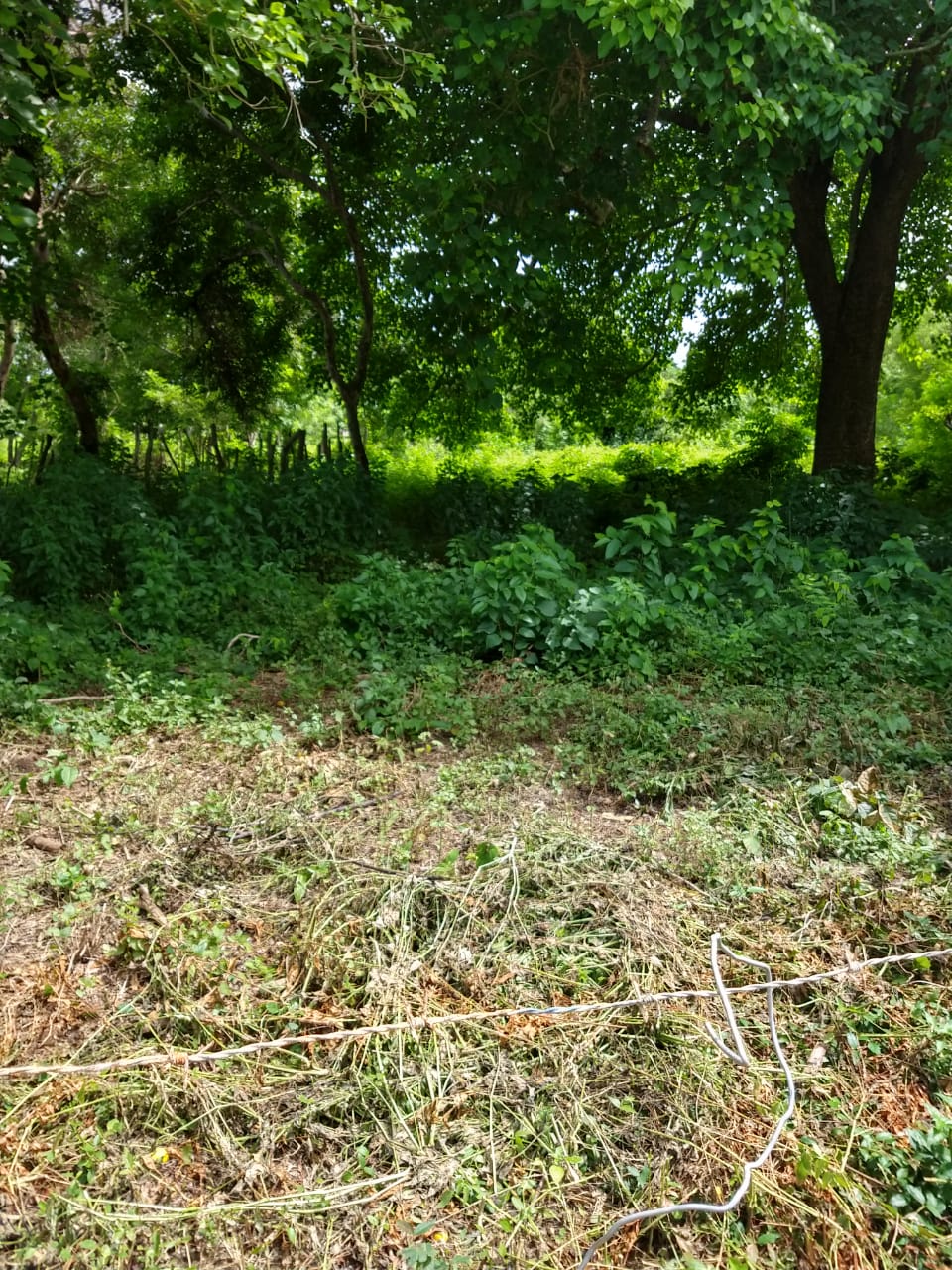 Lote en Venta, Tierra Bomba, Cartagena.