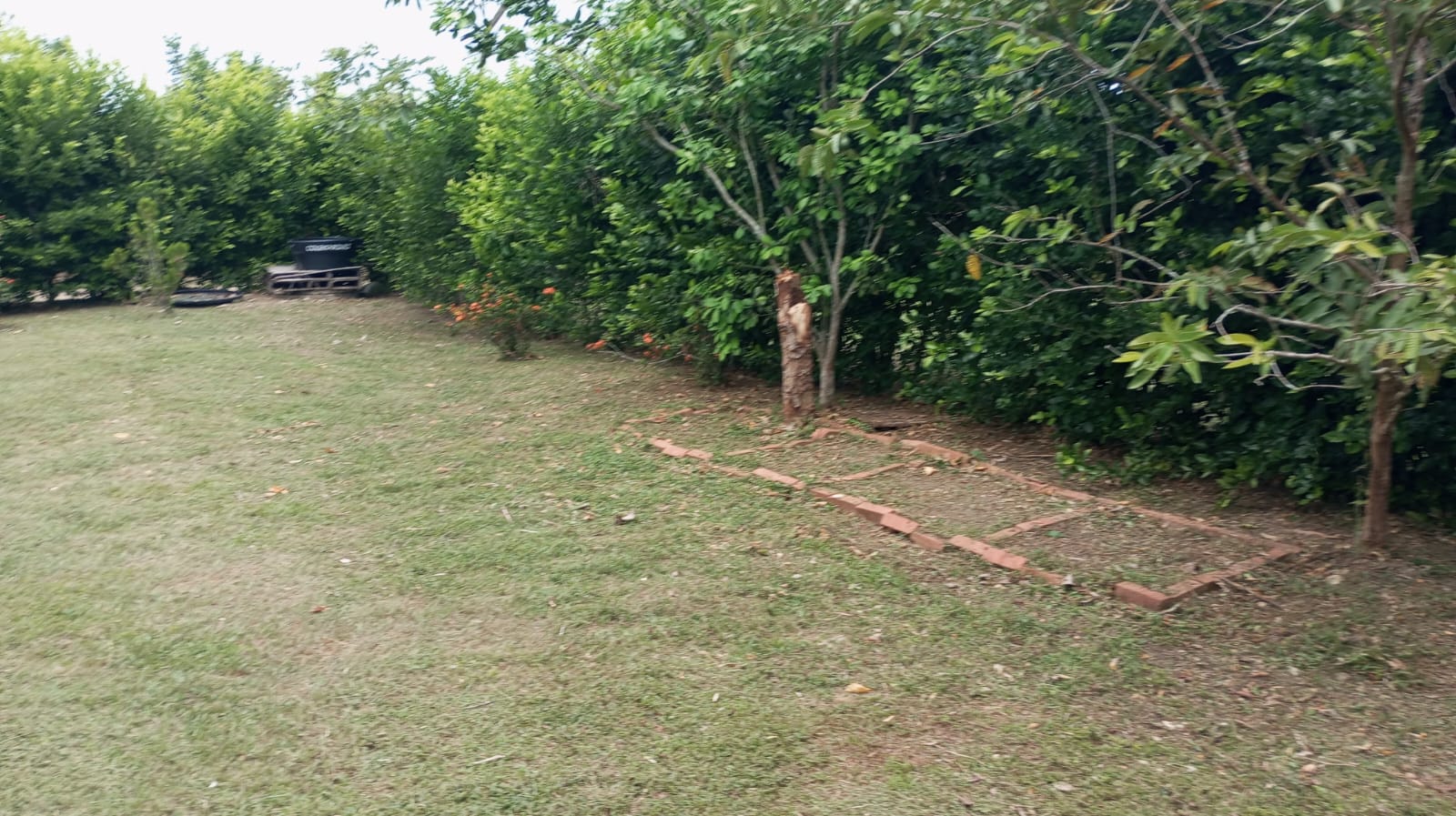 LOTE EN VENTA SANTA ROSA - CARTAGENA