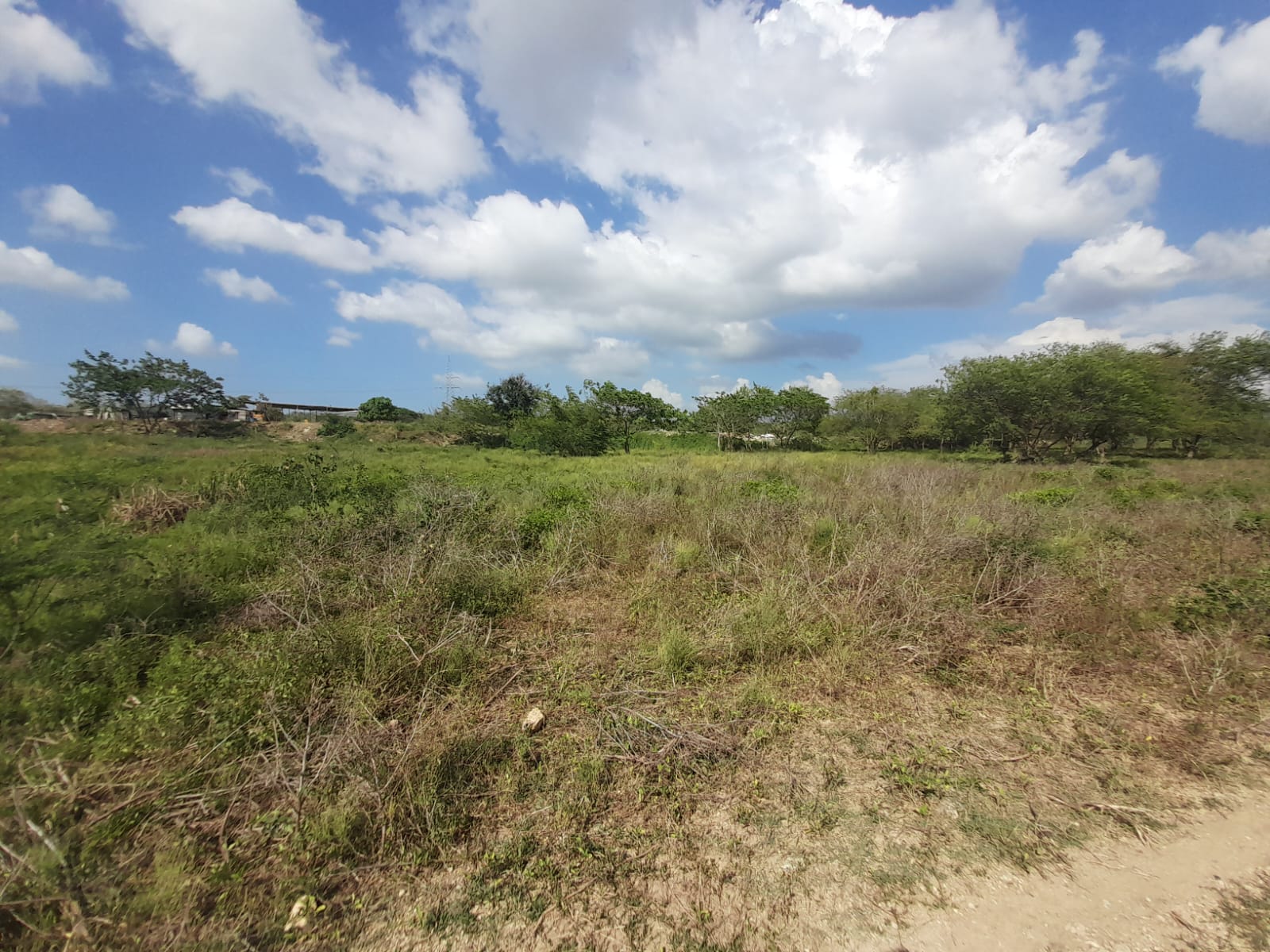 LOTE EN VENTA VARIANTE VÌA MAMONAL - CARTAGENA