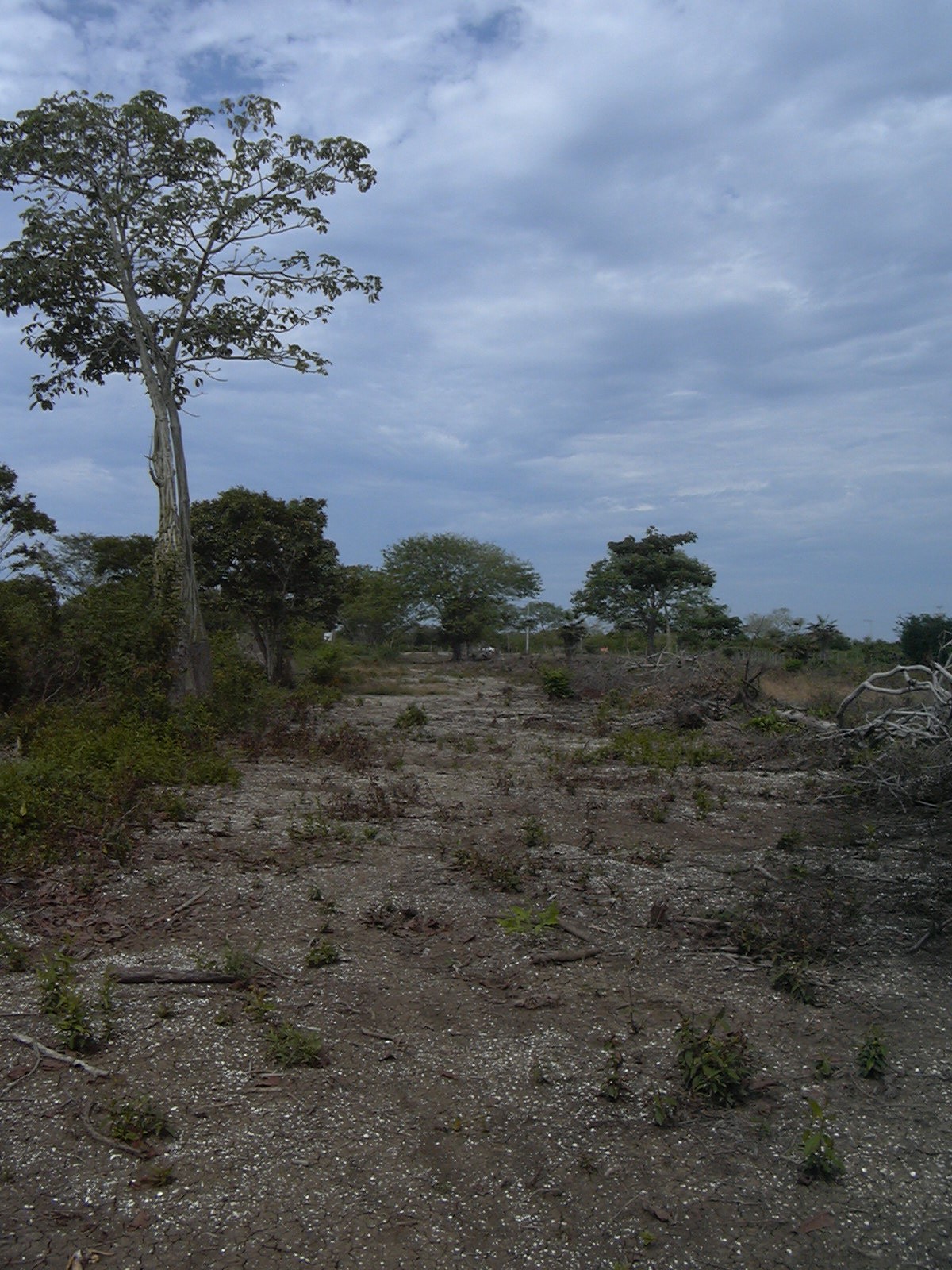 Cartagena Venta de Lote Manzanillo del Mar
