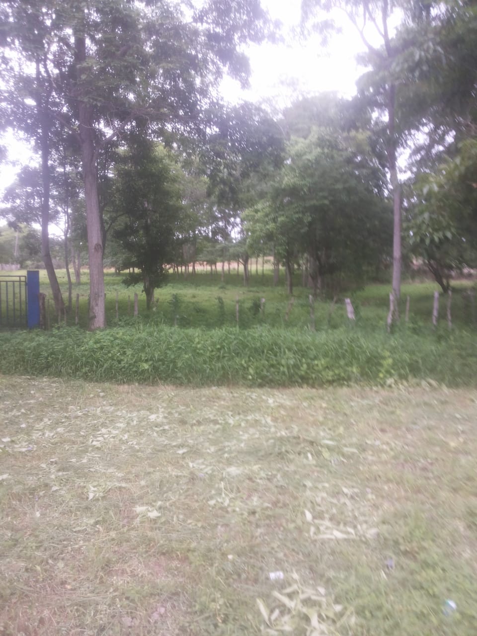 Cartagena Venta Finca Coordialidad