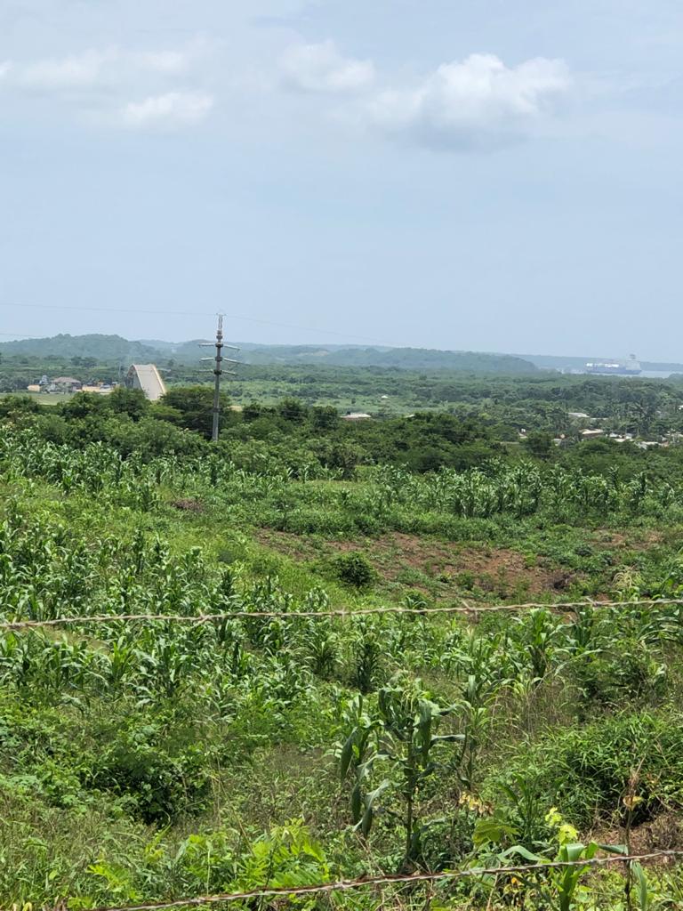 Cartagena Venta Lote Mamonal