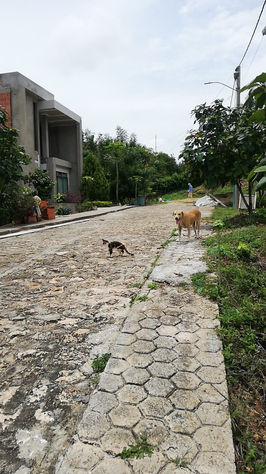 LOTE EN VENTA - TURBACO - BOLIVAR