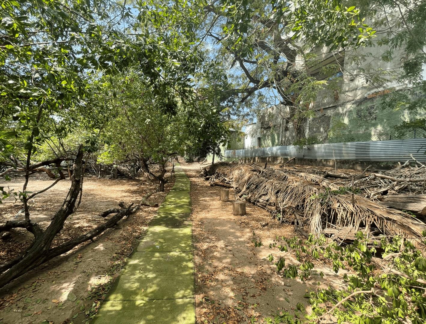 LOTE EN ARRIENDO 13 DE JUNIO - CARTAGENA