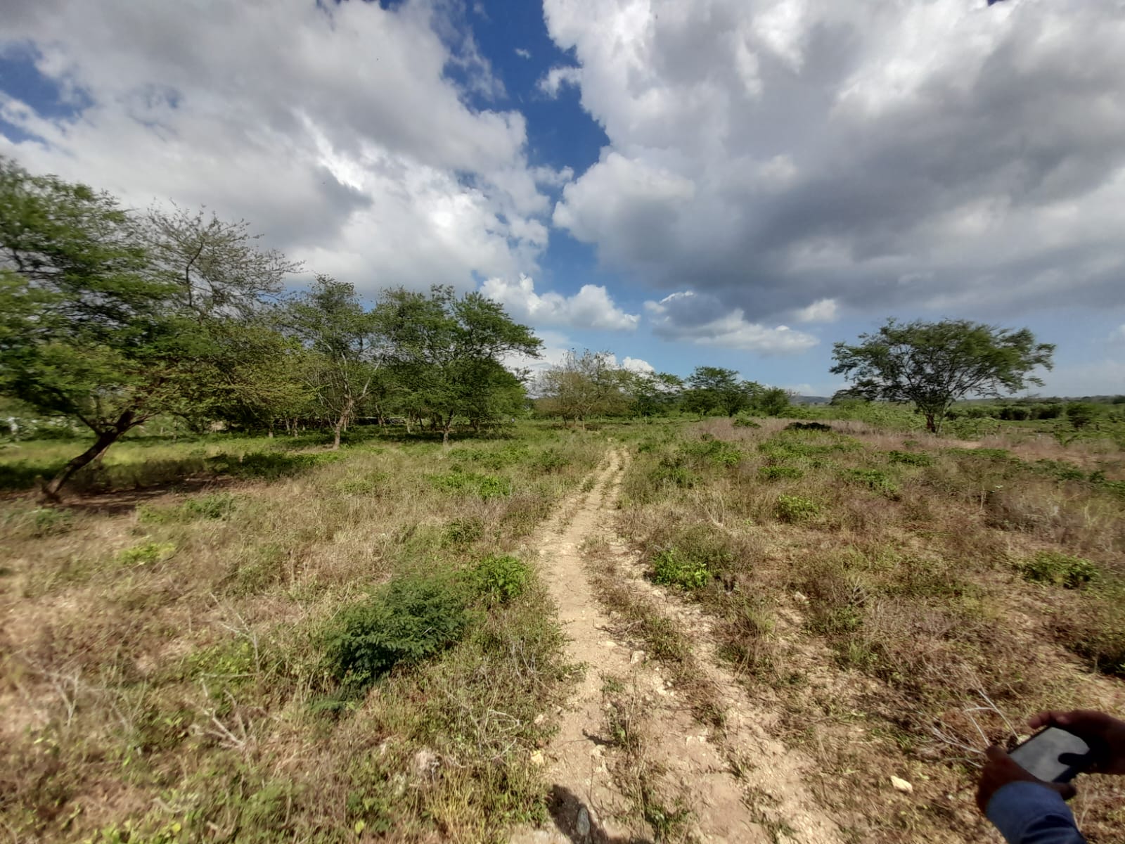 LOTE EN VENTA VARIANTE VÌA MAMONAL - CARTAGENA