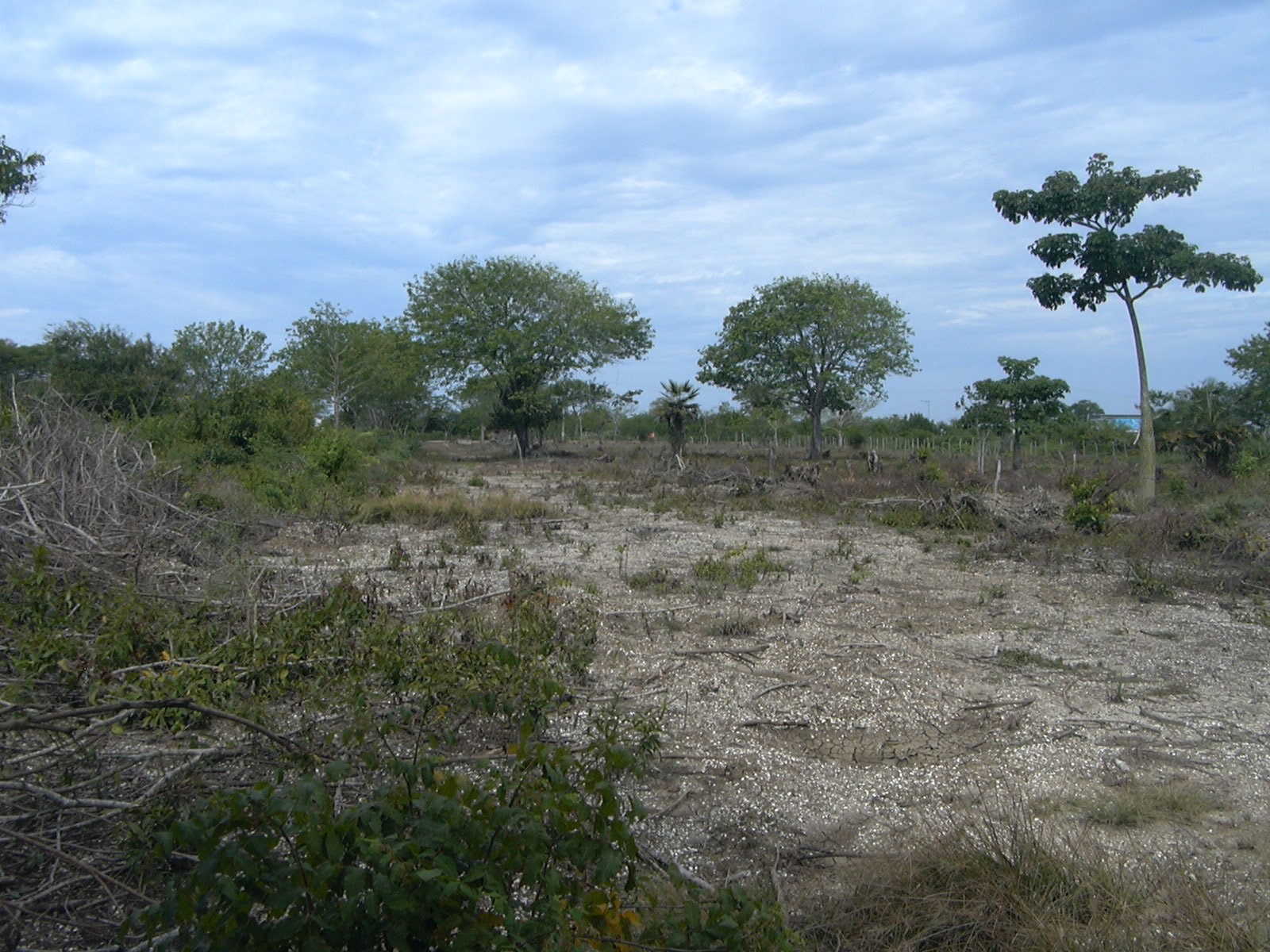Cartagena Venta de Lote Manzanillo del Mar