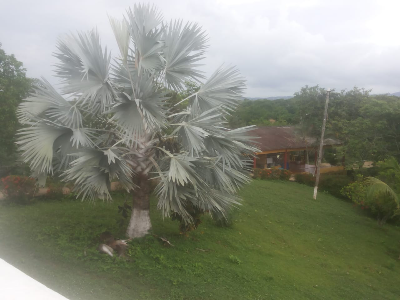 Cartagena Venta Finca Coordialidad