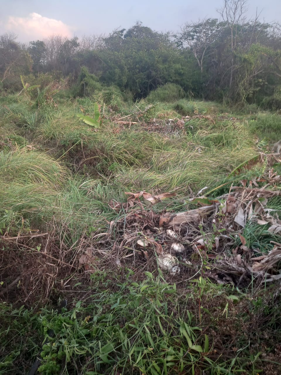 LOTE EN VENTA ZONA NORTE - CARTAGENA