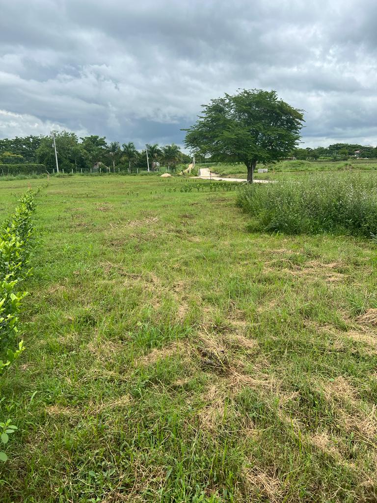 LOTE EN VENTA,   ARJONA - BOLIVAR