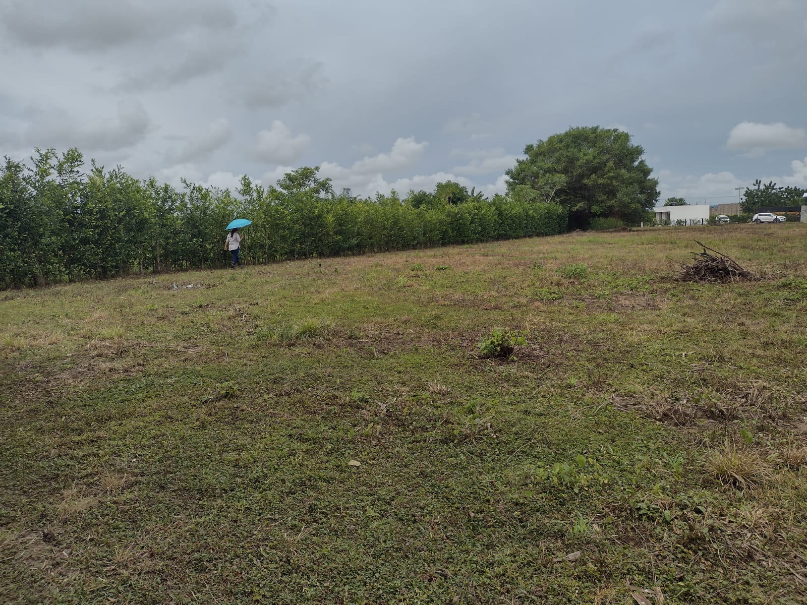 LOTE EN VENTA,   ARJONA - BOLIVAR