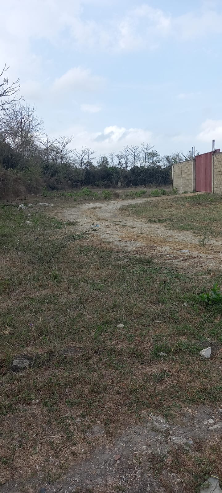 LOTE EN VENTA PONTEZUELA