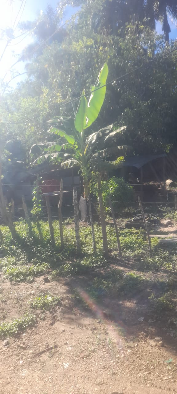 LOTE NE ARRIENDO, TURBACO - CARTAGENA