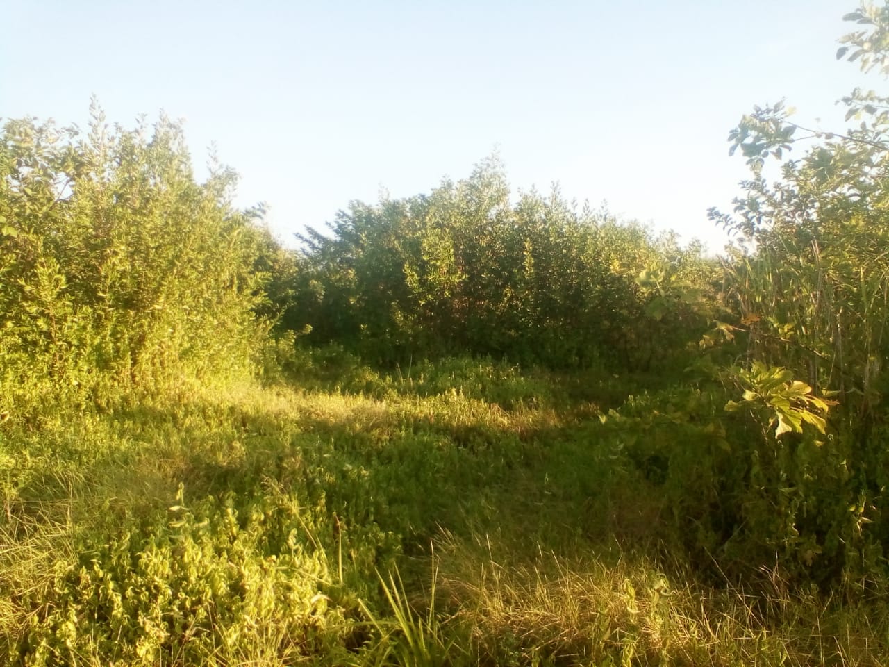 LOTE EN VENTA ZONA NORTE - CARTAGENA