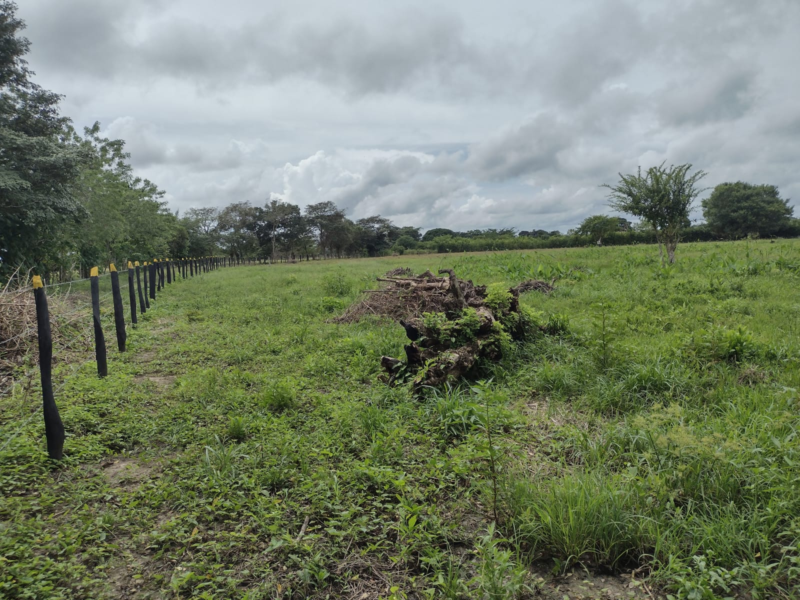 LOTE EN VENTA,   ARJONA - BOLIVAR