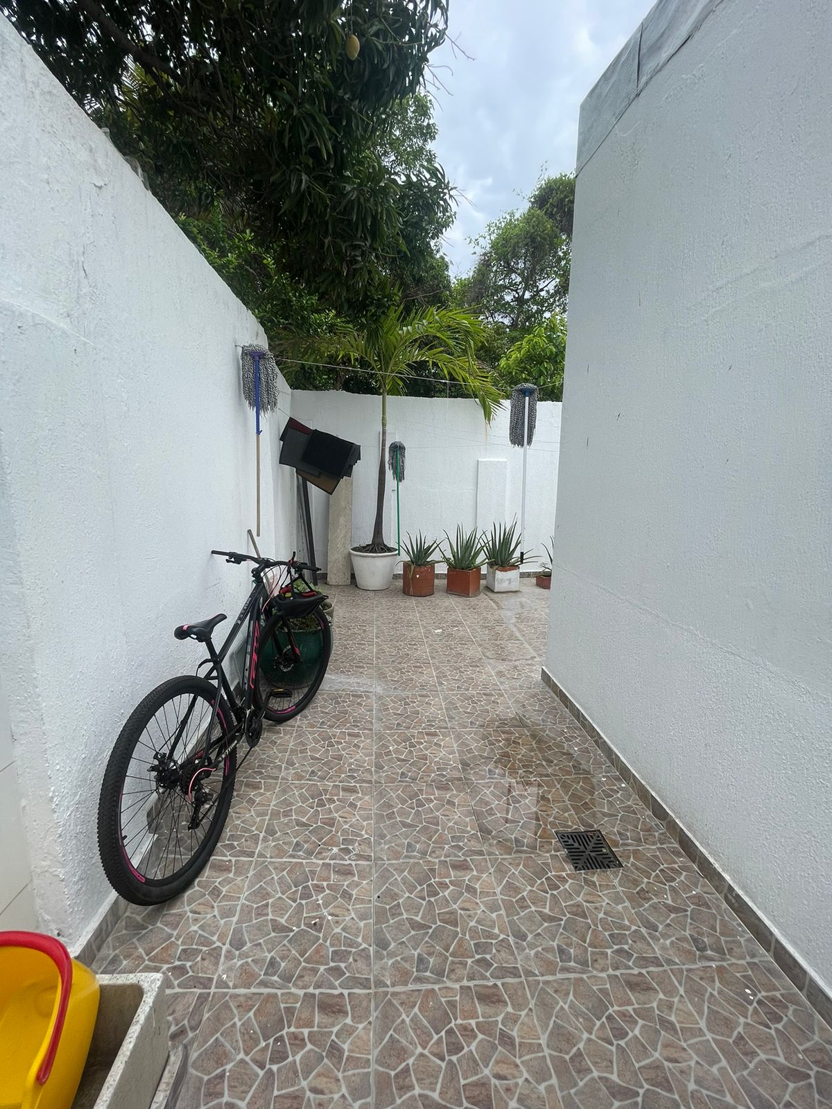 CASA EN ARRIENDO, MANGA - CARTAGENA