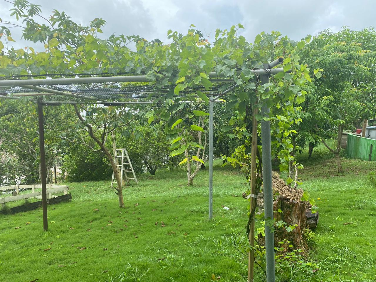 FINCA EN VENTA TURBACO - CARTAGENA