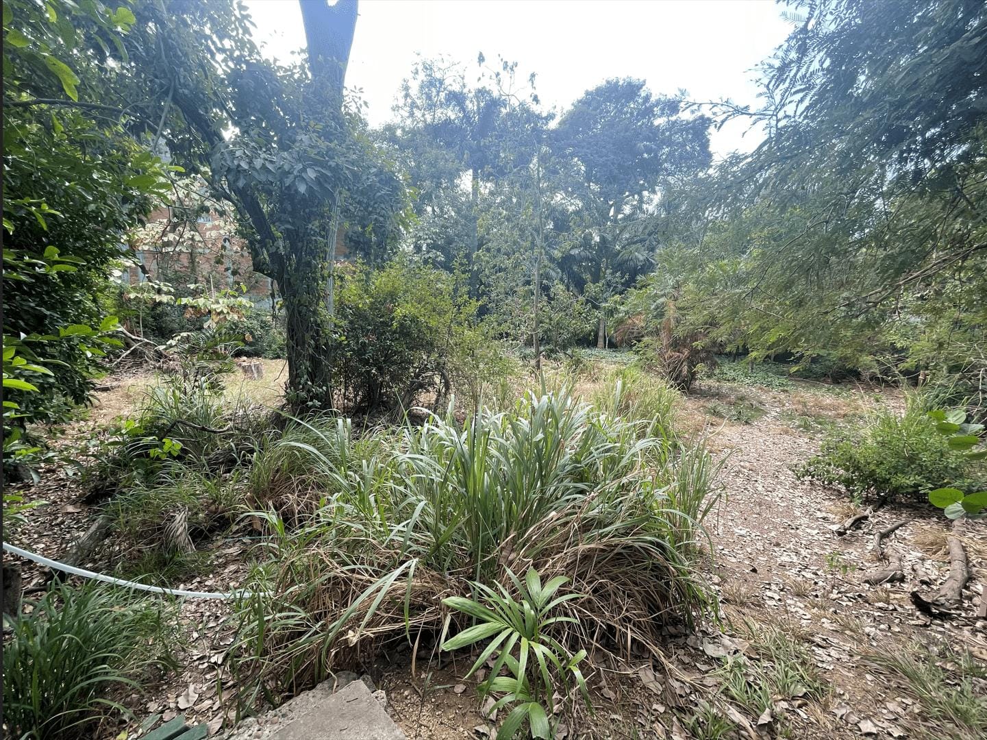 LOTE EN ARRIENDO 13 DE JUNIO - CARTAGENA